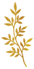 Lilac-Demo-Flower-svg