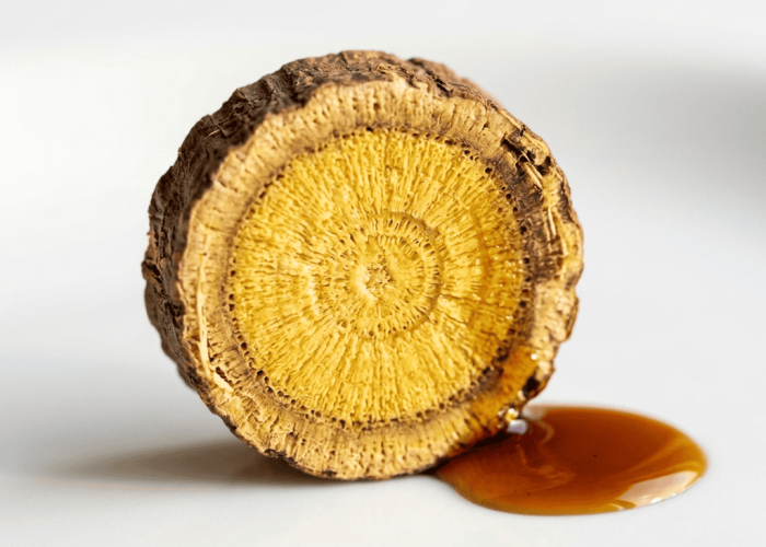 Licorice root cross-section slice showing bright golden-yellow interior with fibrous ring structure